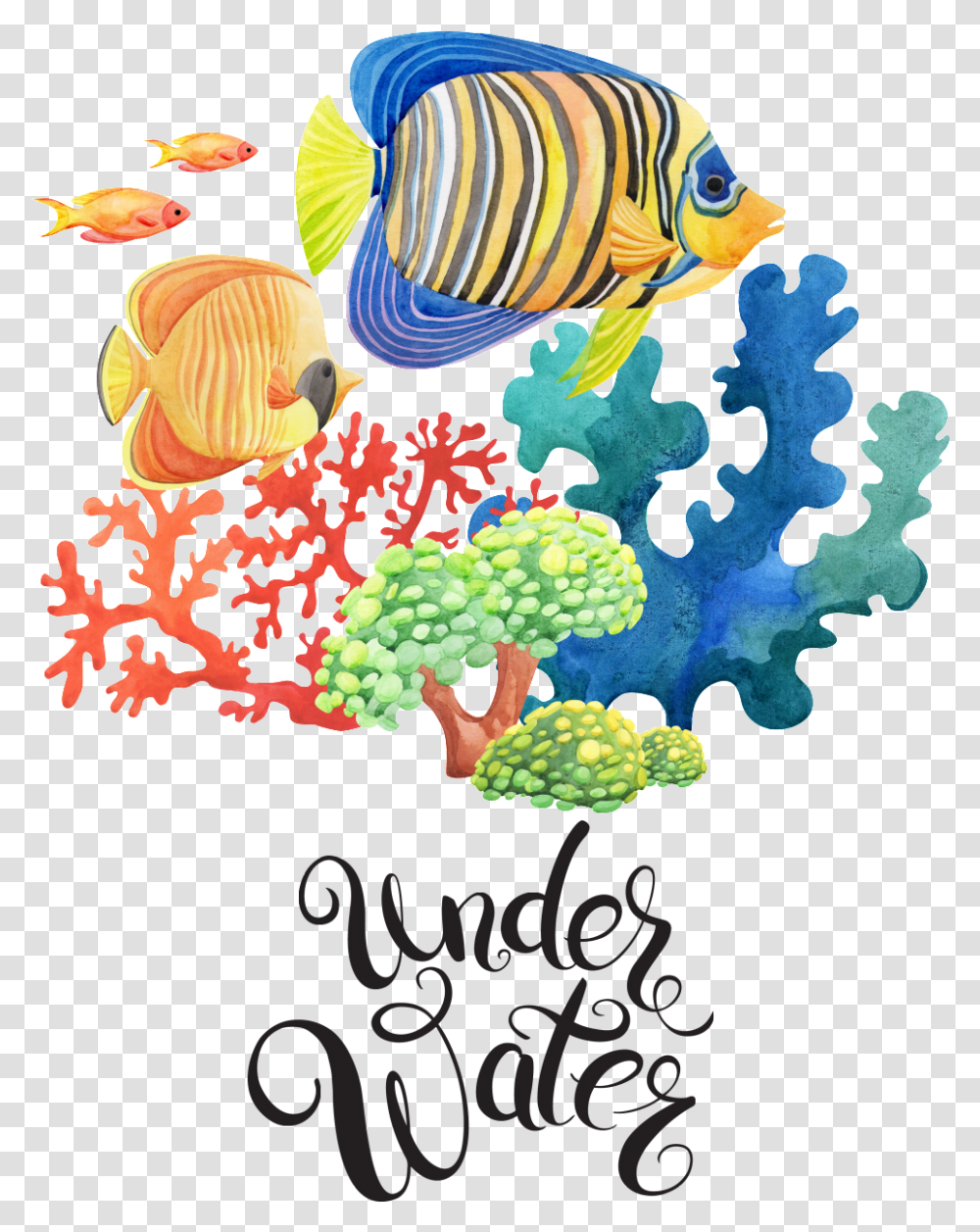 Sea June 2019 Calendar Printable Portrait, Animal, Fish, Sea Life, Amphiprion Transparent Png