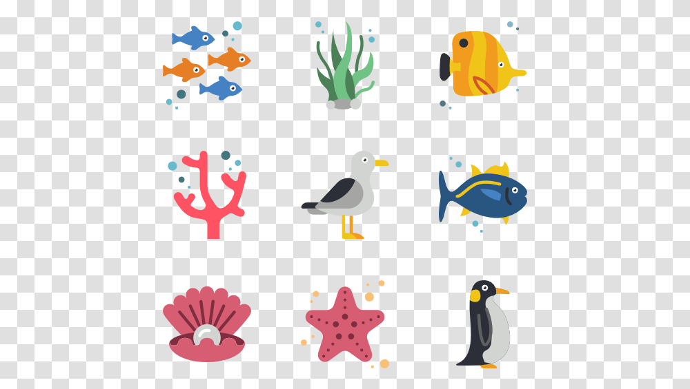 Sea Life, Bird, Animal, Fish, Penguin Transparent Png