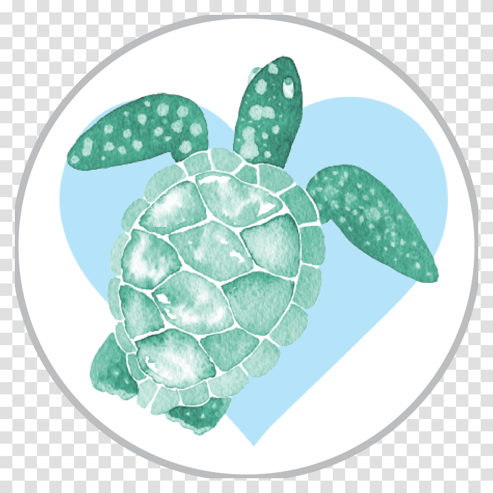Sea Life Watercolor Download Realistic Turtle Clip Art, Sphere, Tortoise, Reptile, Animal Transparent Png