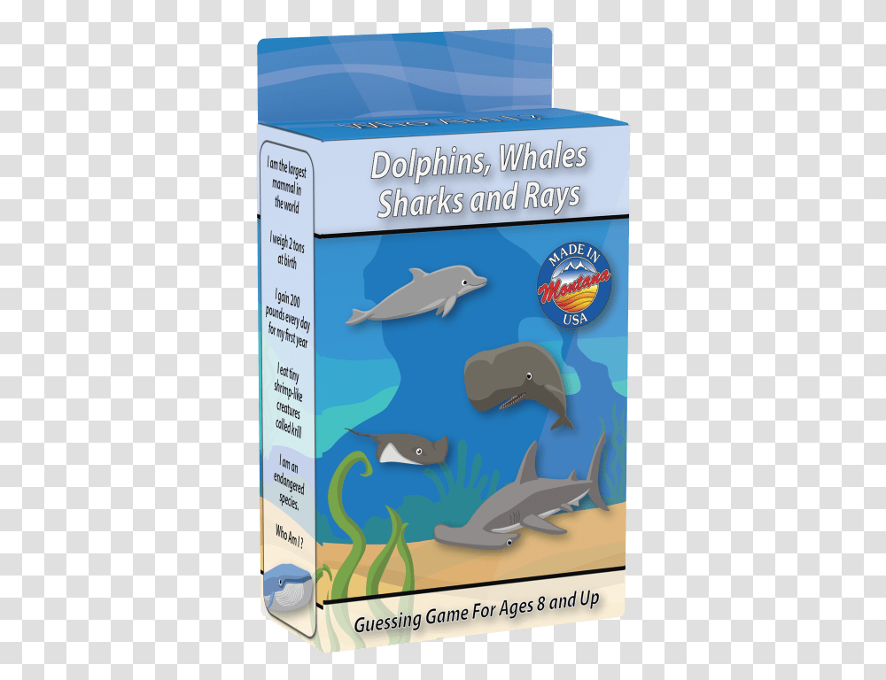 Sea Life Who Am I Travel Card Game, Animal, Mammal, Fish, Water Transparent Png