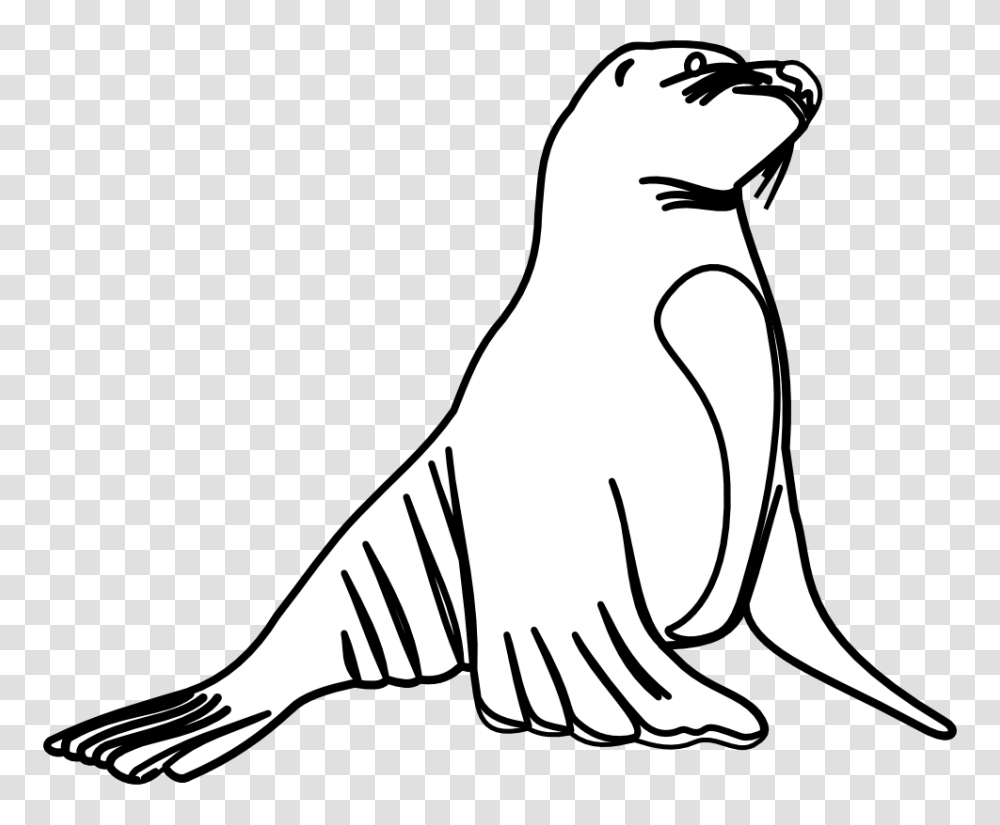 Sea Lion Clip Art, Animal, Mammal, Sea Life, Penguin Transparent Png