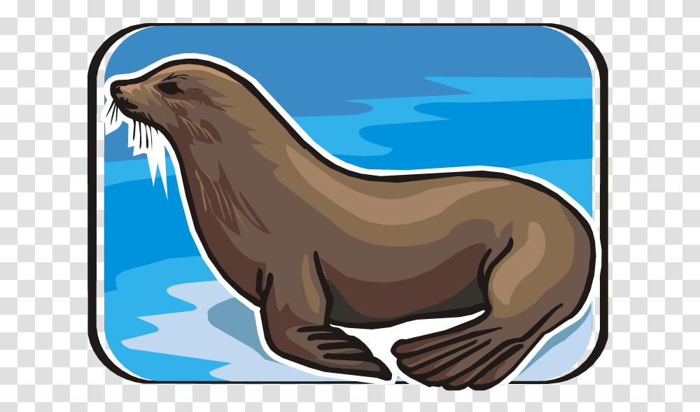 Sea Lion Clip Art Clip Art, Mammal, Animal, Sea Life, Otter Transparent Png