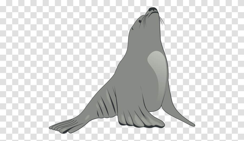 Sea Lion Clip Art Free, Mammal, Sea Life, Animal, Seal Transparent Png