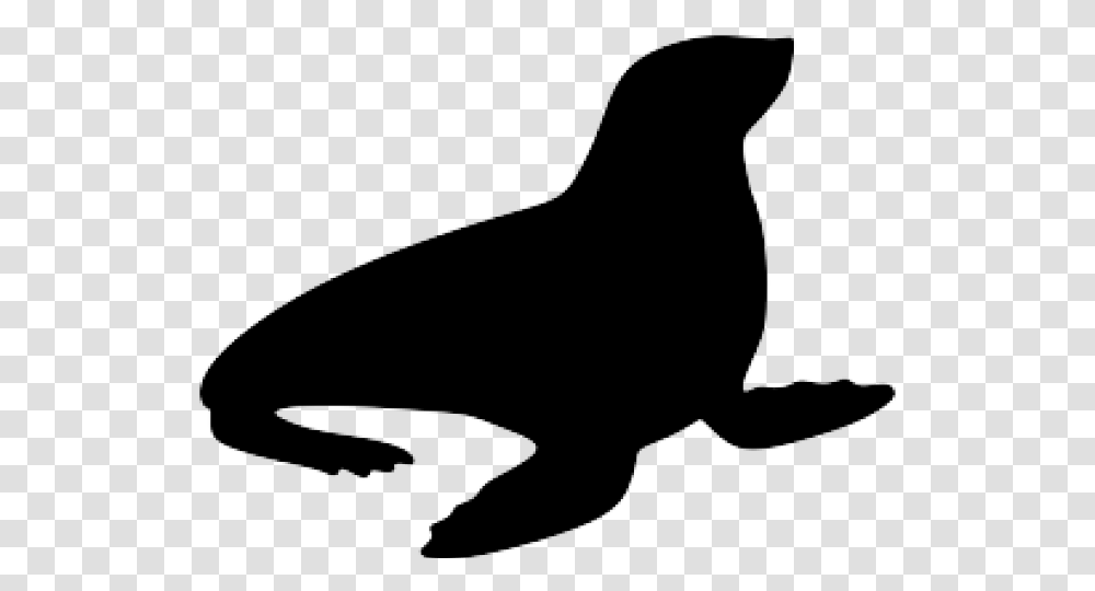 Sea Lion Clipart Ocean Animal Silhouette Of A Seal, Sea Life, Fish, Mammal, Bow Transparent Png