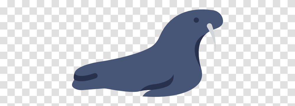 Sea Lion Walrus Computer Icons Parrot, Animal, Sea Life, Mammal, Moon Transparent Png