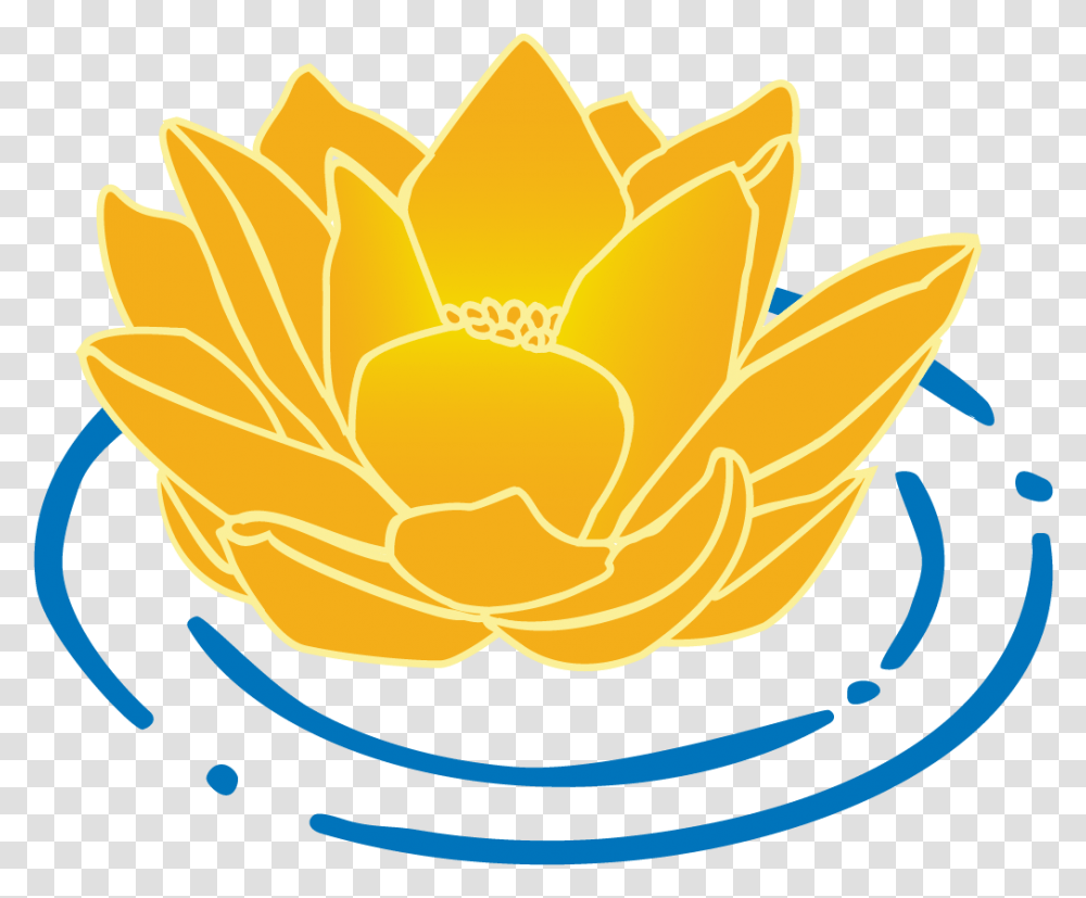 Sea Lotus Dentistry, Plant, Flower, Rose Transparent Png
