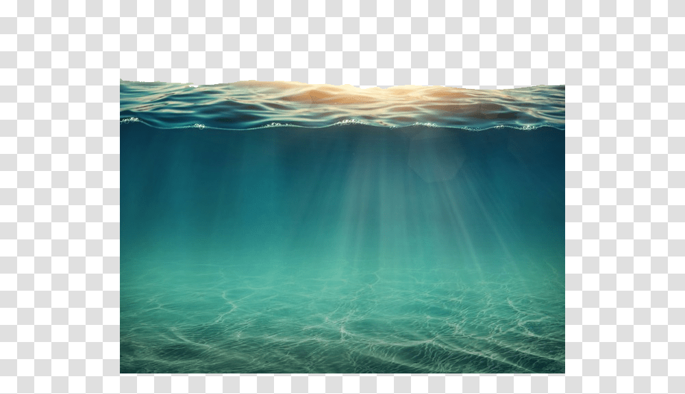 Sea, Nature, Water, Underwater, Outdoors Transparent Png