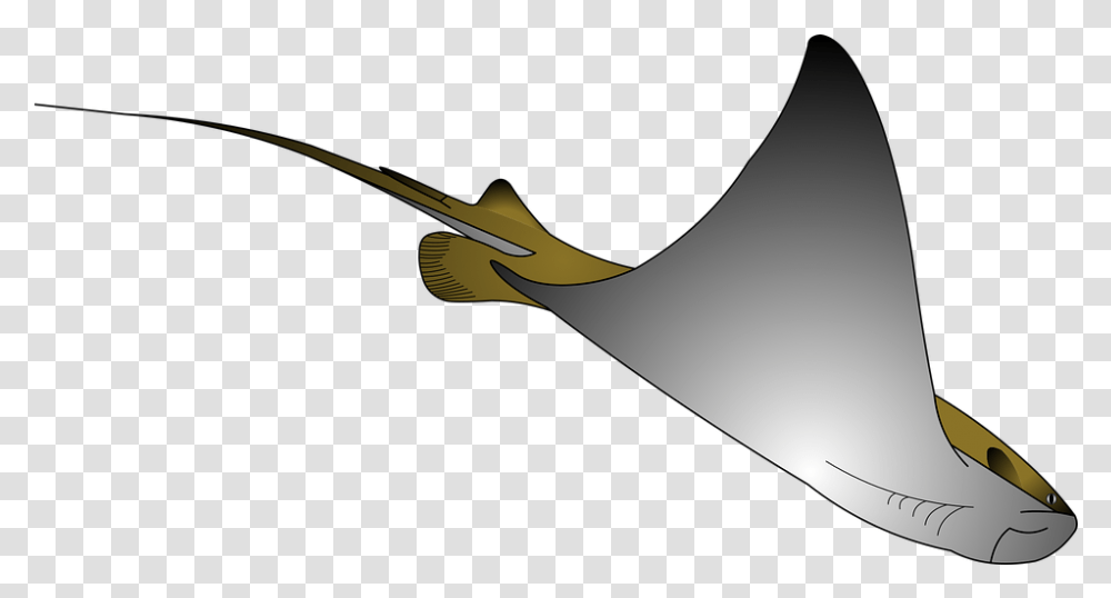 Sea Ocean Ray Stingray, Weapon, Blade, Cutlery, Text Transparent Png