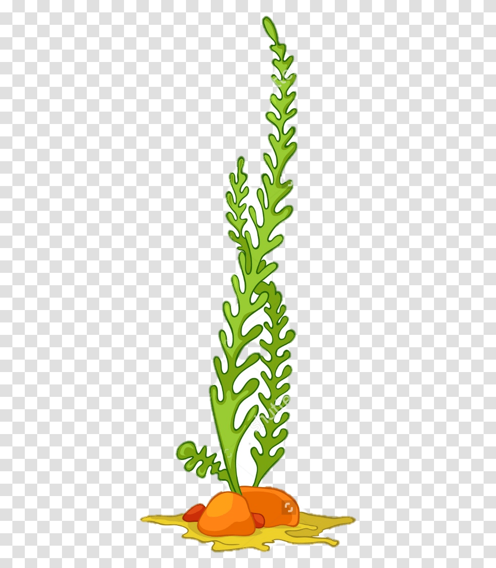 Sea Plant Cartoon, Vegetable, Food, Kale, Cabbage Transparent Png