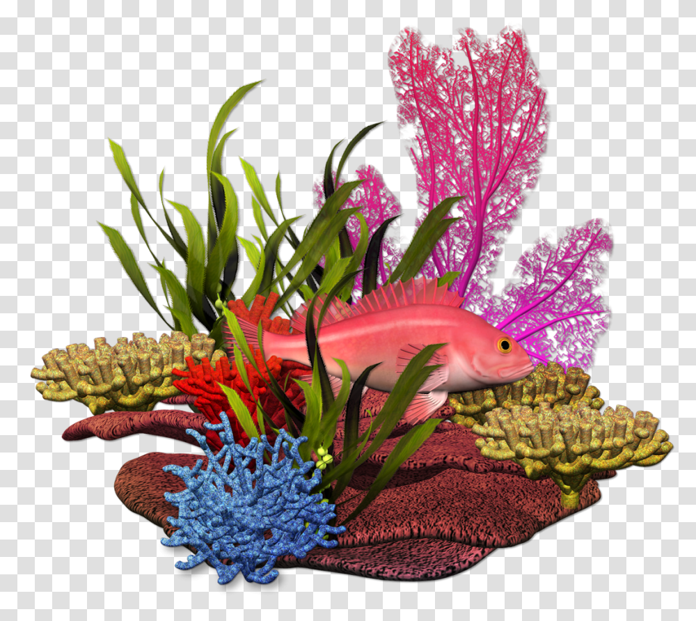 Sea Plant, Ikebana, Vase, Ornament Transparent Png