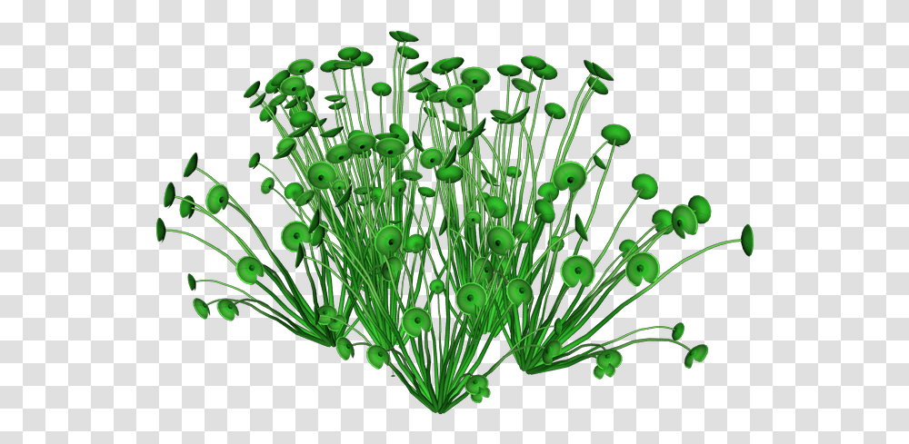 Sea Plants Image With No Background Ocean Plants, Seasoning, Food, Dill Transparent Png