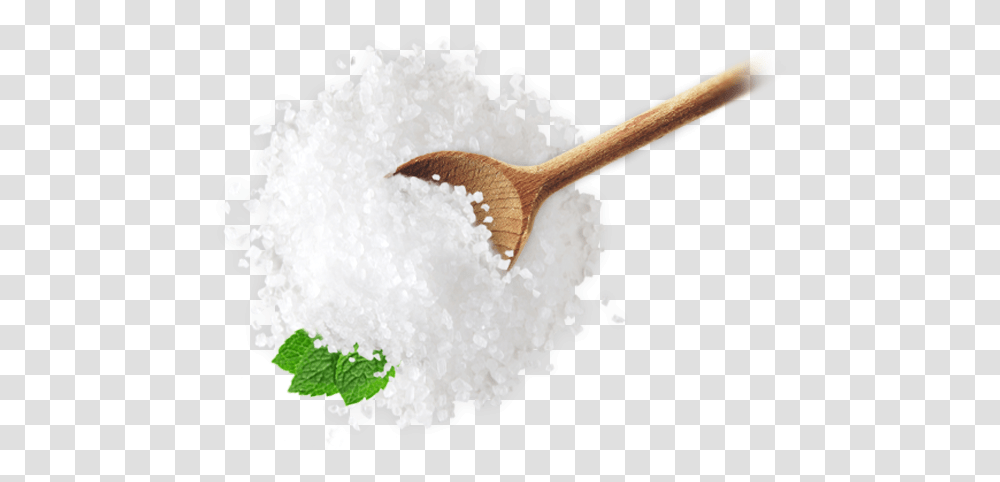Sea Salt 2 Image Salt, Sugar, Food, Bird, Animal Transparent Png