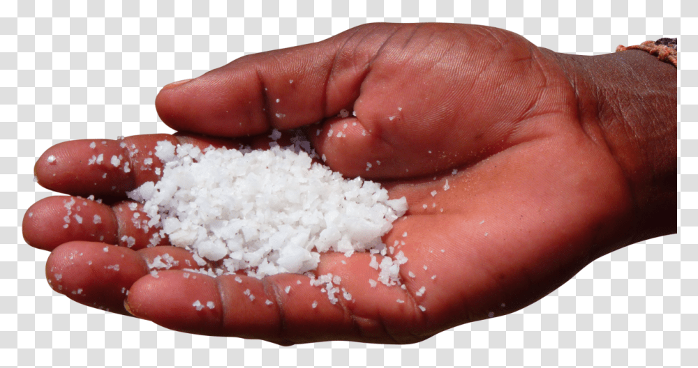 Sea Salt In Palm Of Hand Image, Plant, Food, Finger, Person Transparent Png
