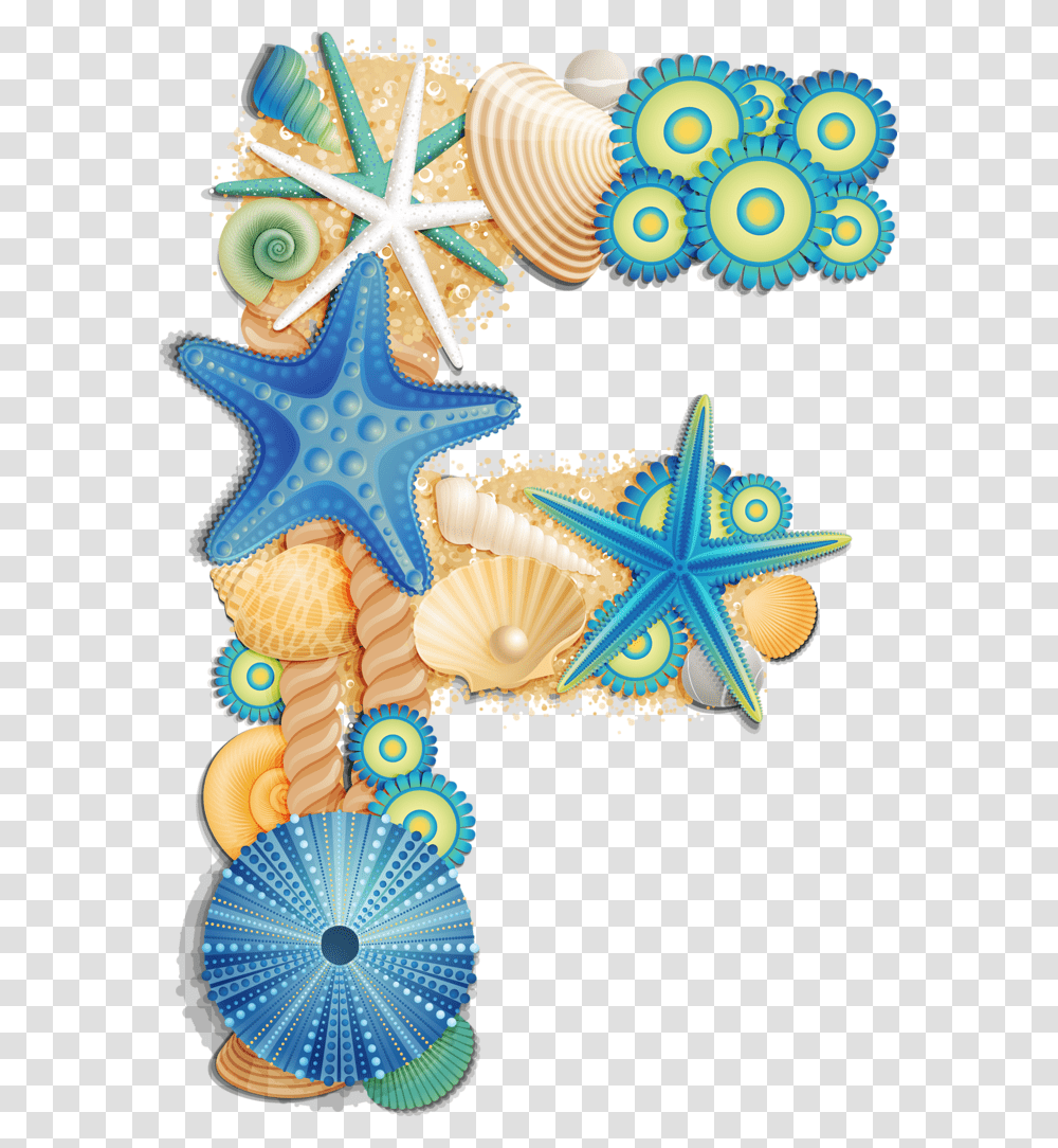 Sea Shell Alphabet O, Starfish, Invertebrate, Sea Life, Animal Transparent Png