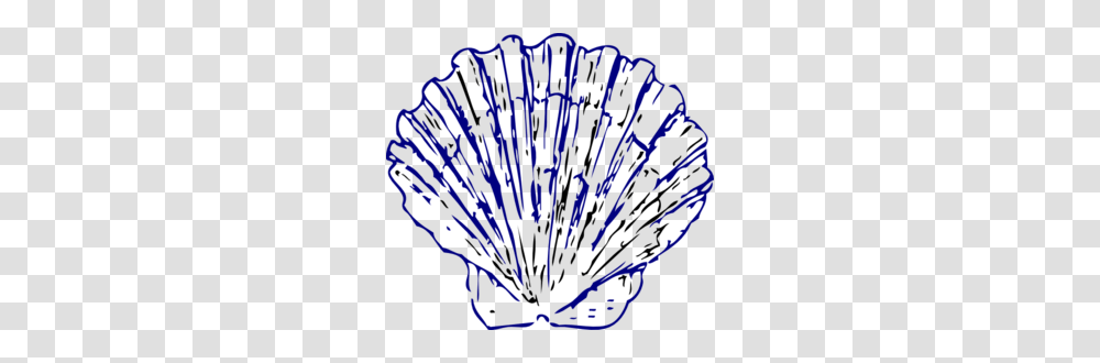 Sea Shell Clip Art For Web, Water, Animal, Reef, Sea Life Transparent Png