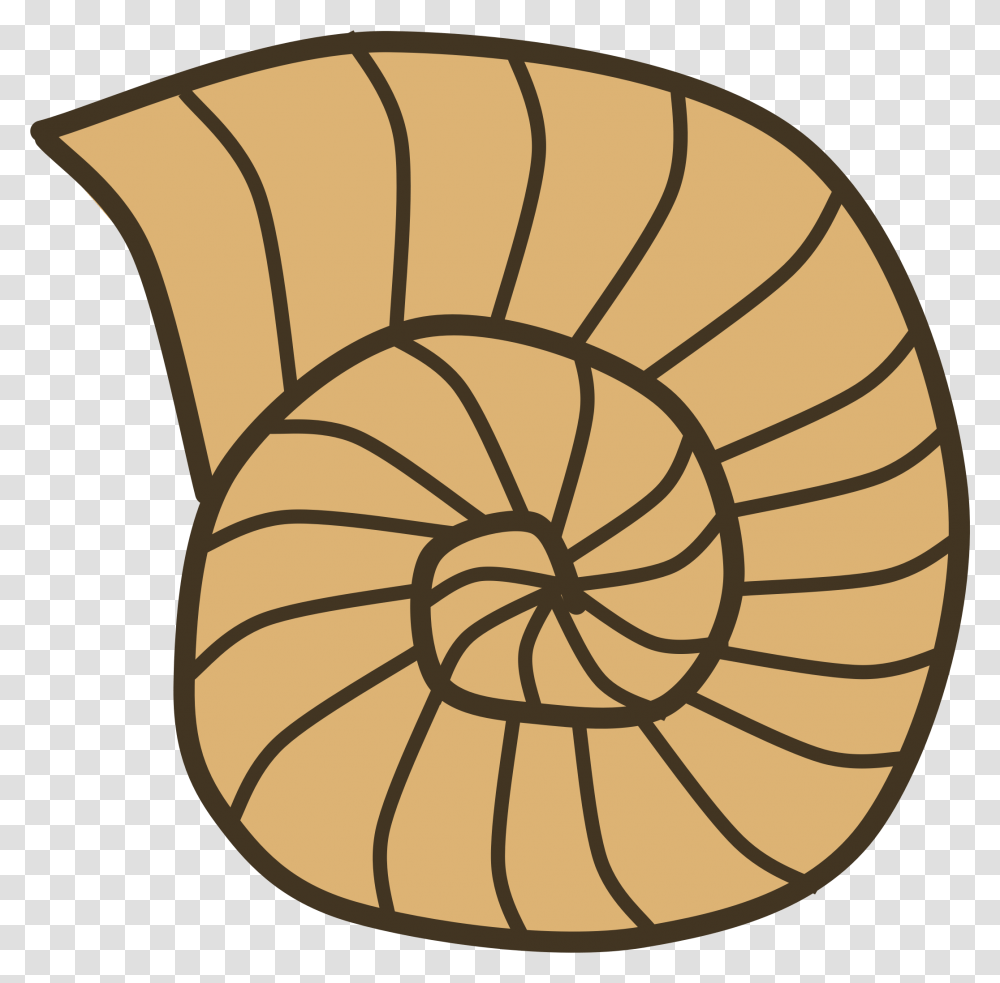 Sea Shell Clipart Fossil Clipart, Food, Spiral, Lamp, Bakery Transparent Png