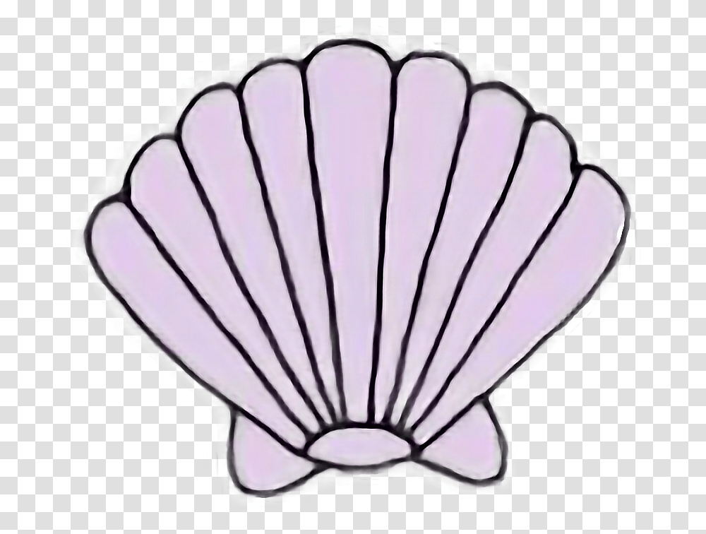 Sea Shell Seashell Mermaid Kawaii Pastel Freetoedit Shell Clipart, Clam, Invertebrate, Sea Life, Animal Transparent Png