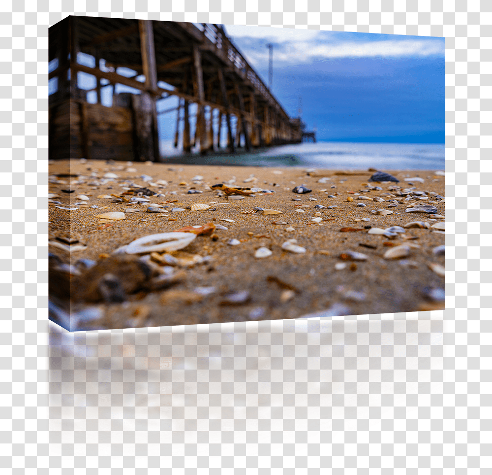 Sea Shells At Newport Pier Sea, Water, Waterfront, Dock, Rust Transparent Png