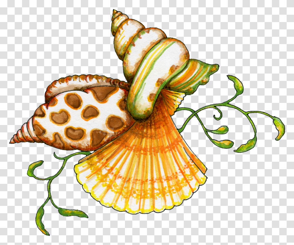 Sea Shells Clip Art, Invertebrate, Animal, Sea Life, Seashell Transparent Png