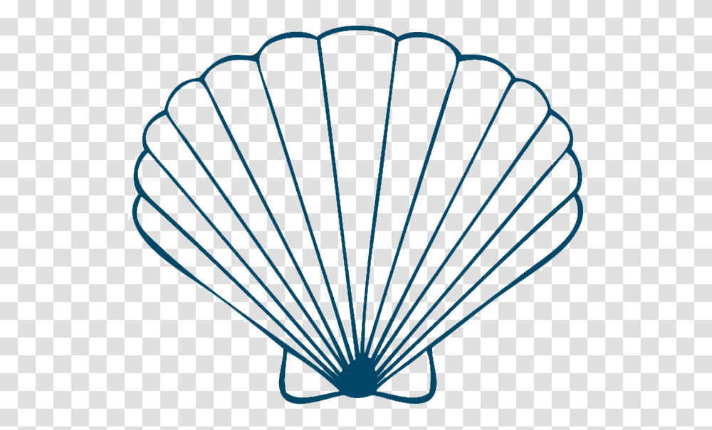 Sea Shells Draw A Seashell, Water, Invertebrate, Animal, Parachute Transparent Png