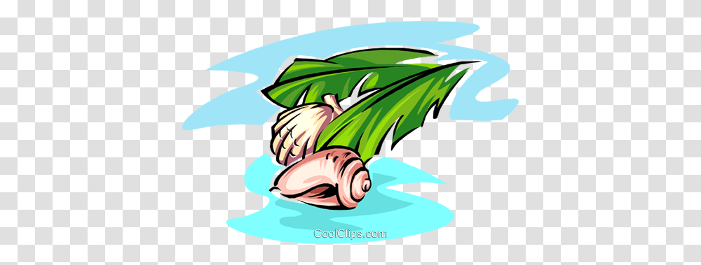 Sea Shells Royalty Free Vector Clip Art Illustration, Plant, Food, Vegetable, Produce Transparent Png