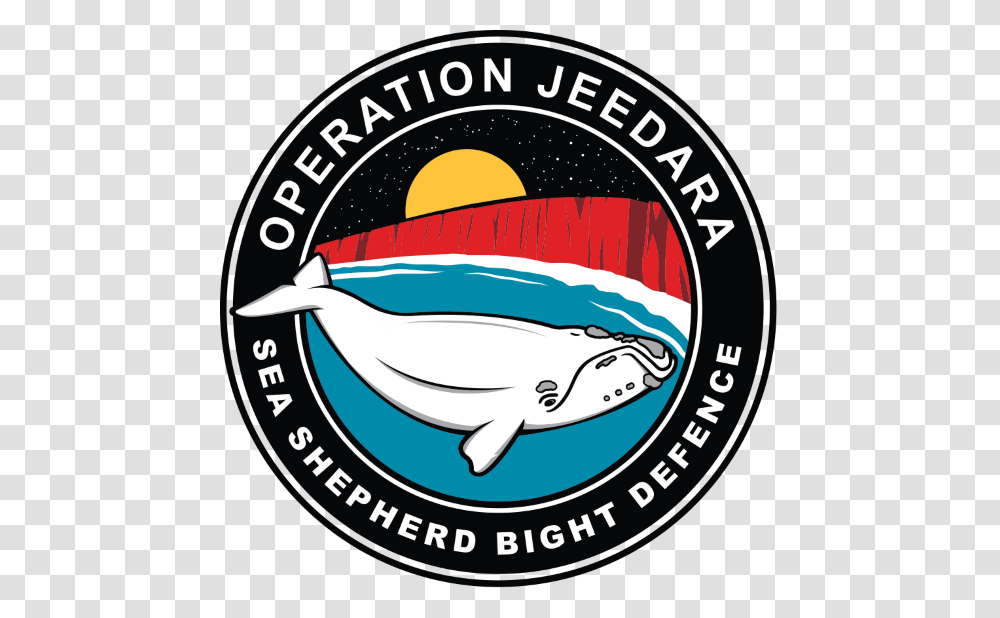 Sea Shepherd Global, Sea Life, Animal, Mammal, Dolphin Transparent Png