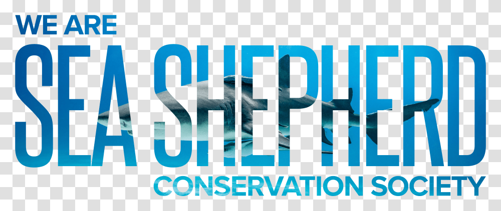 Sea Shepherd Text Graphic Design, Word, Alphabet, Number Transparent Png