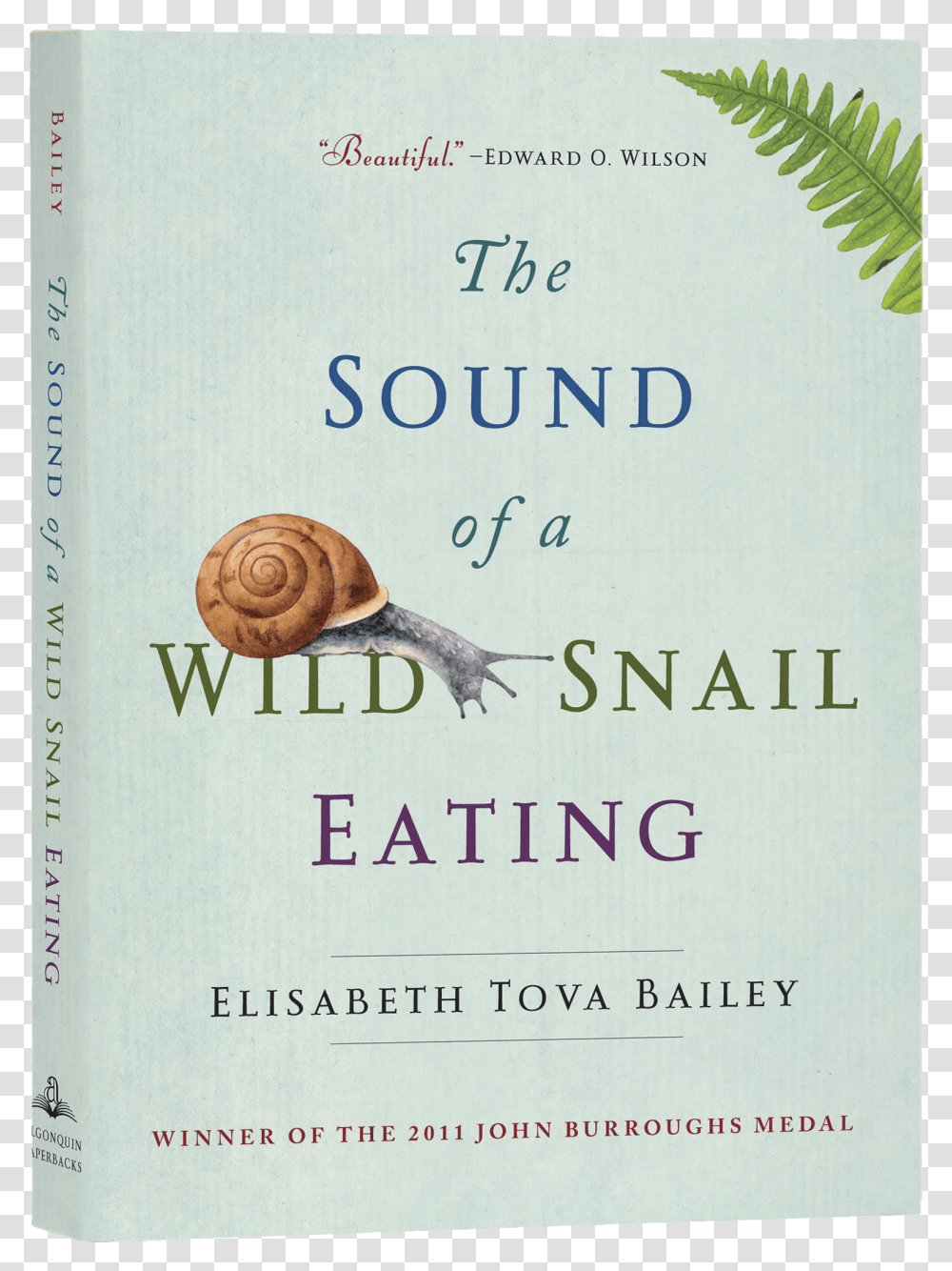 Sea Snail, Animal, Book, Invertebrate, Novel Transparent Png
