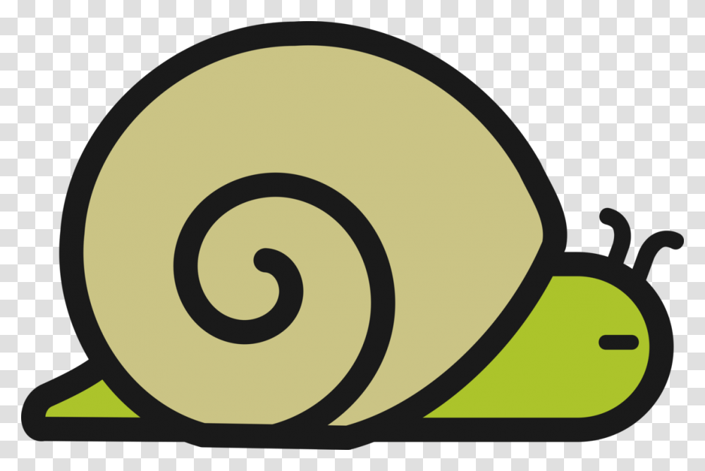 Sea Snail Gastropod Shell Seashell Slug, Spiral, Invertebrate, Animal Transparent Png