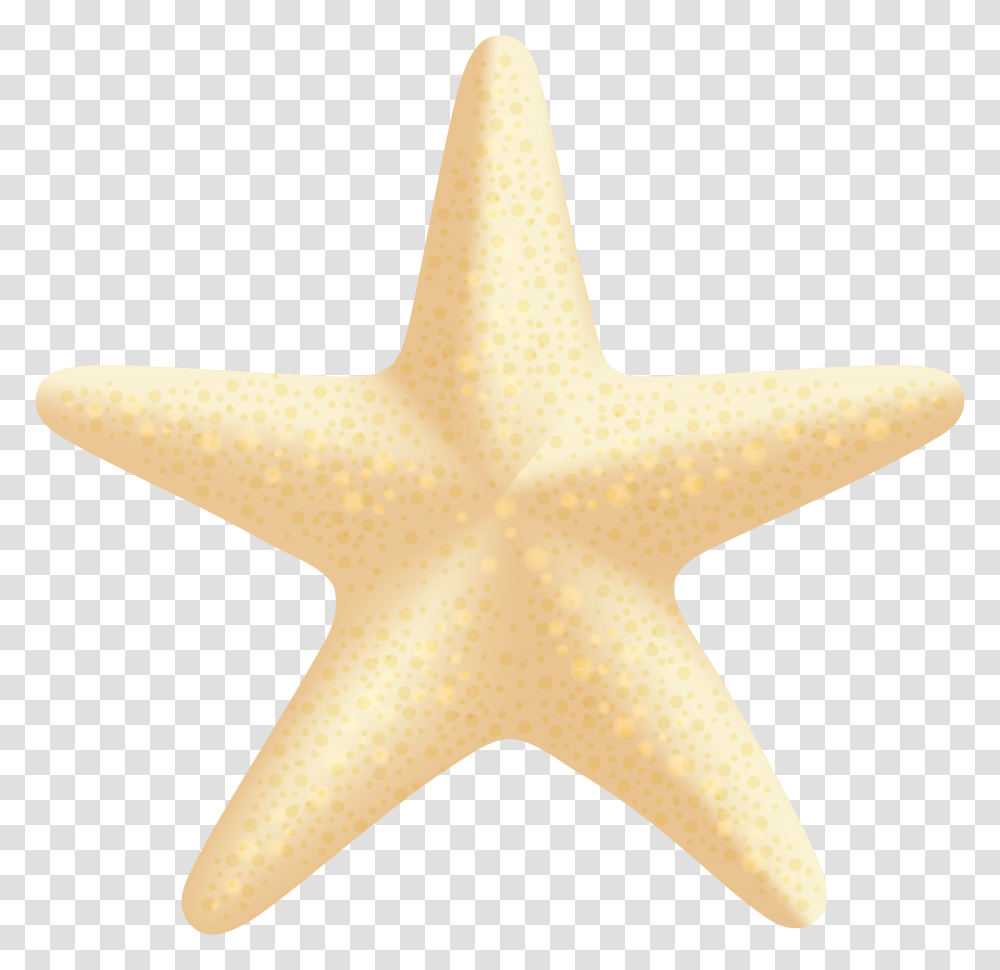 Sea Star Clip Art, Star Symbol, Sea Life, Animal Transparent Png