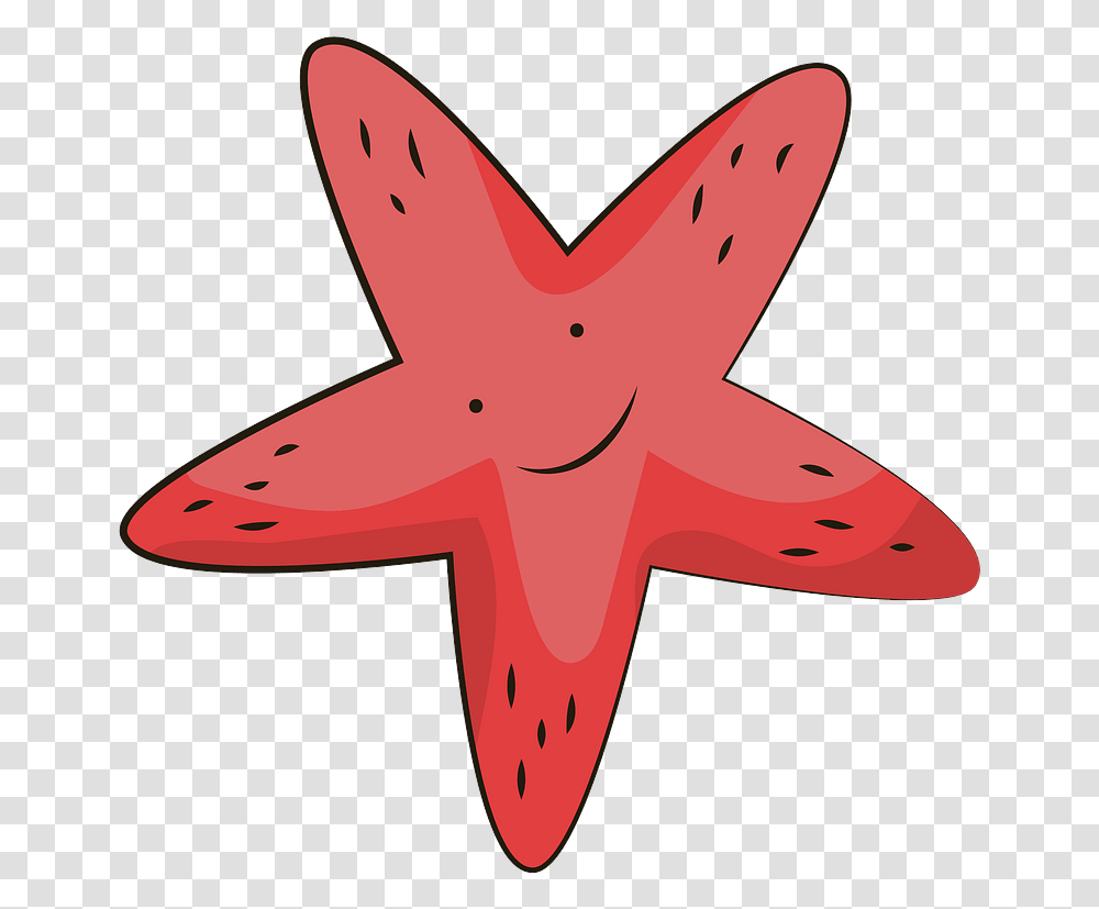 Красные морские звезды мультика