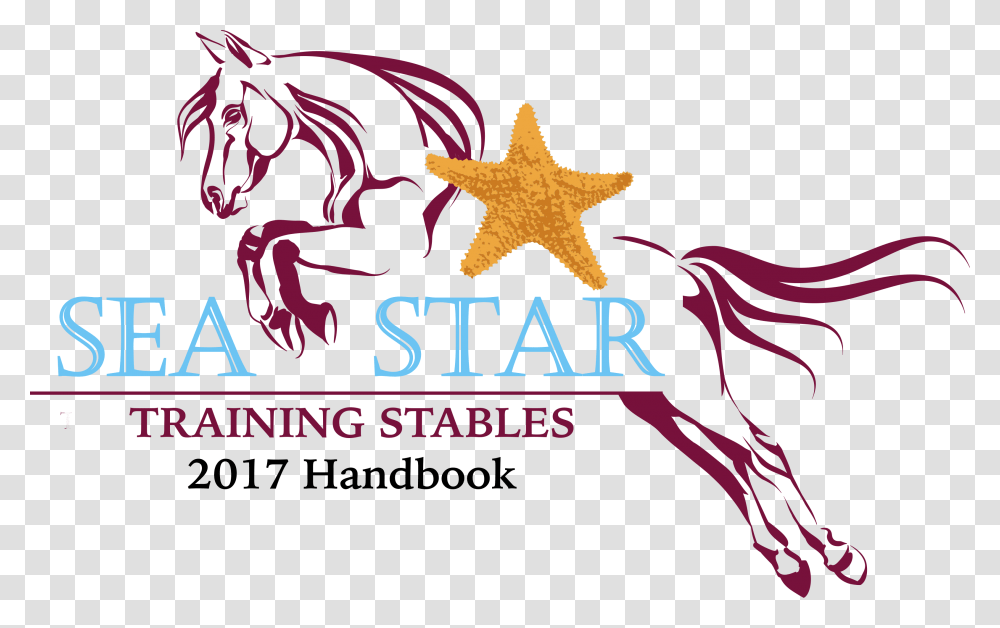 Sea Star Handbook Graphic Design, Logo, Trademark Transparent Png