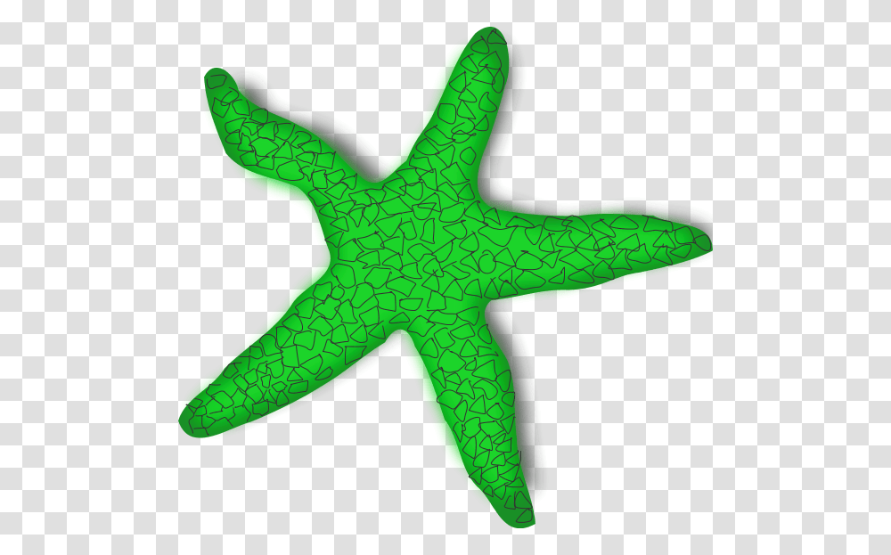 Sea Star In Cartoon, Sea Life, Animal, Starfish, Invertebrate Transparent Png