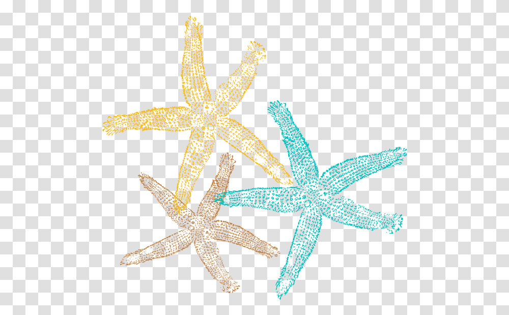 Sea Star Pic Starfish Clipart No Background High Background Starfish Clipart, Invertebrate, Sea Life, Animal, Lizard Transparent Png