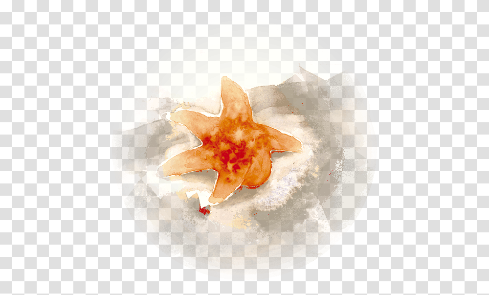 Sea Star Picture Arts Cake, Plant, Food, Pottery, Tree Transparent Png