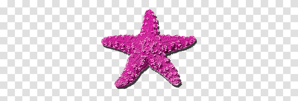 Sea Star Pink Purple Sea Star Background, Animal, Sea Life, Invertebrate, Light Transparent Png