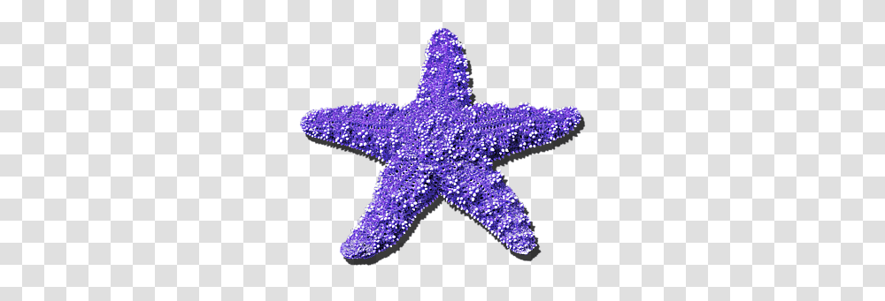 Sea Star Purple Red And White Flag With One Star, Sea Life, Animal, Invertebrate, Light Transparent Png
