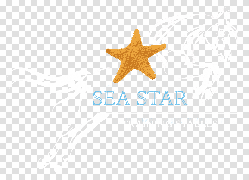 Sea Star Training Stables Stallion, Symbol, Logo, Trademark, Emblem Transparent Png