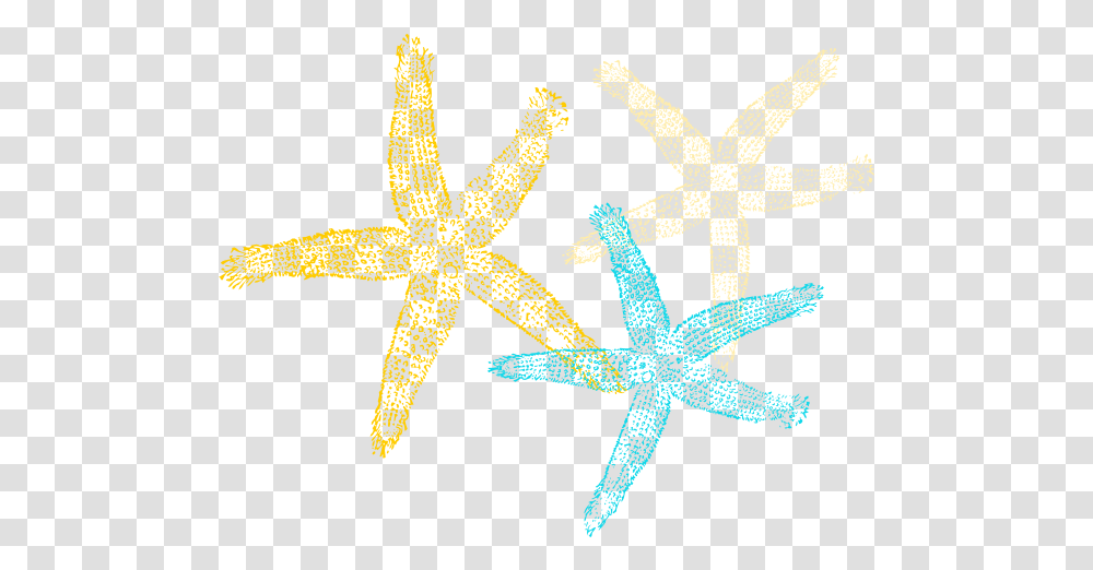 Sea Star Vector Starfish, Invertebrate, Sea Life, Animal, Lizard Transparent Png