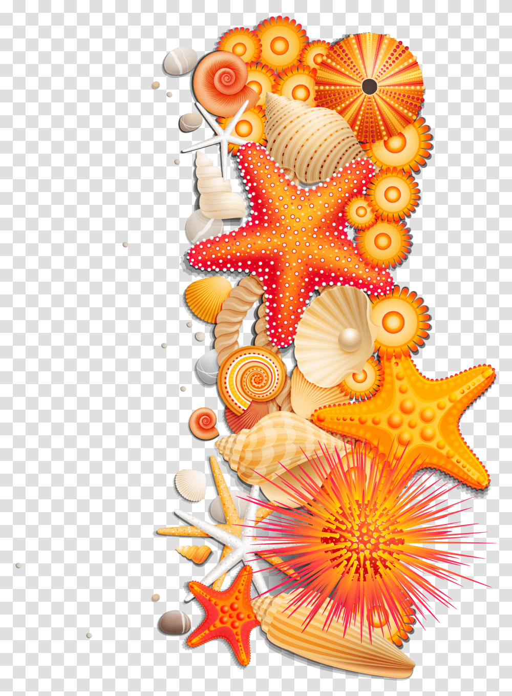 Sea Stars Shells, Sea Life, Animal, Invertebrate, Clam Transparent Png