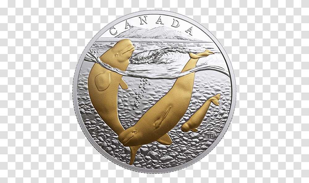 Sea To Sea Coin, Money, Silver, Nickel, Dime Transparent Png