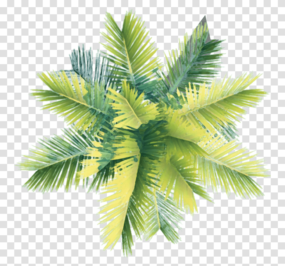 Sea Trees Architecture Coconut Tree Top View, Leaf, Plant, Green, Vegetation Transparent Png