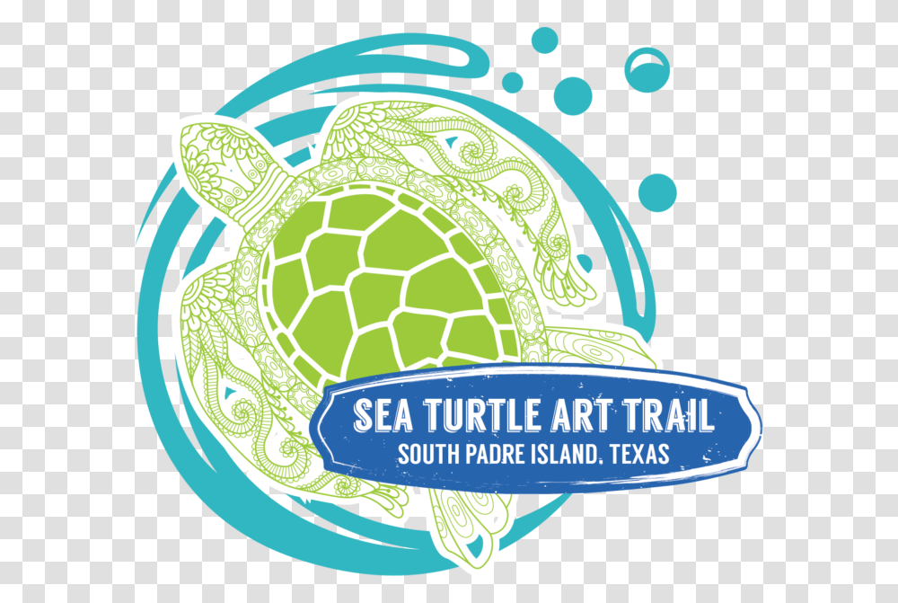 Sea Turtle, Animal, Sea Life Transparent Png