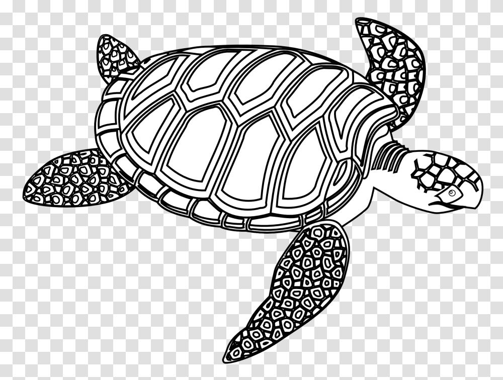 Sea Turtle Black And White Clip Art Dibujos, Tortoise, Reptile, Sea Life, Animal Transparent Png