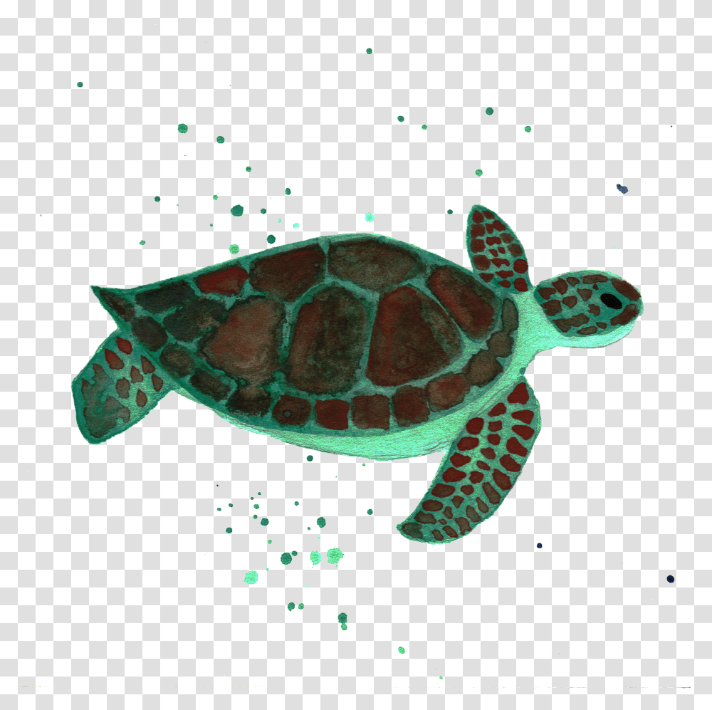 Sea Turtle By Chrystal Elizabeth Sea Turtle Transparent Png
