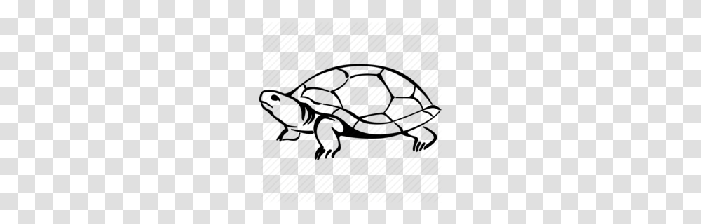 Sea Turtle Clip Art Clipart, Tortoise, Reptile, Sea Life, Animal Transparent Png