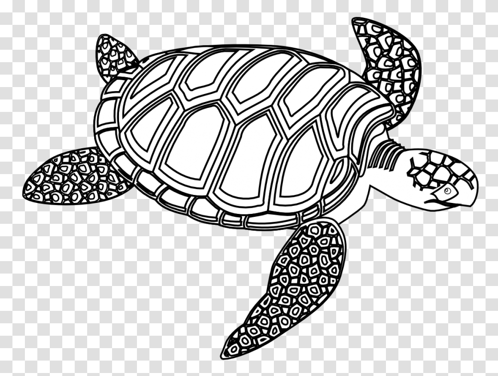 Sea Turtle Clip Art, Tortoise, Reptile, Sea Life, Animal Transparent Png