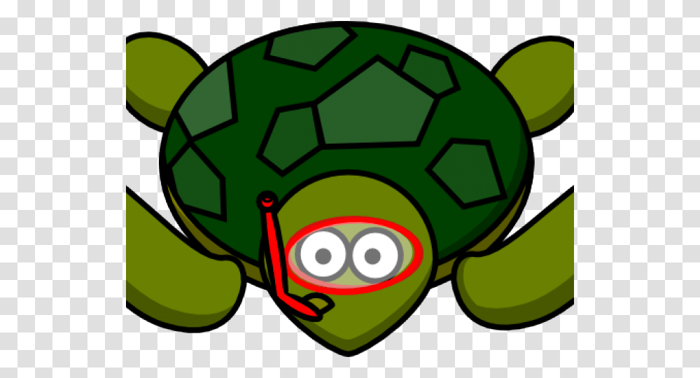 Sea Turtle Clipart Baby Boy Turtle, Green, Soccer Ball, Sport, Team Transparent Png