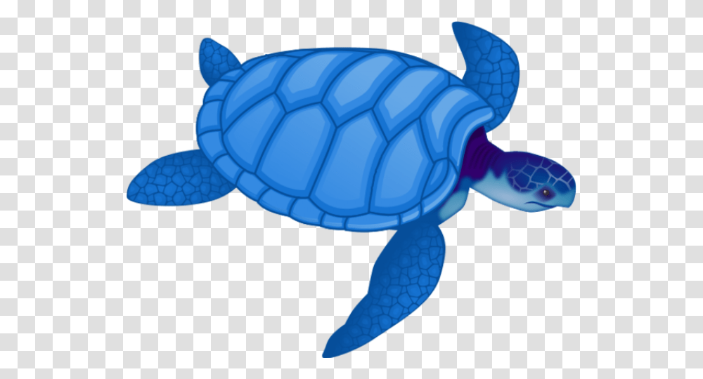 Sea Turtle Clipart Blue, Sea Life, Animal, Reptile, Tortoise Transparent Png