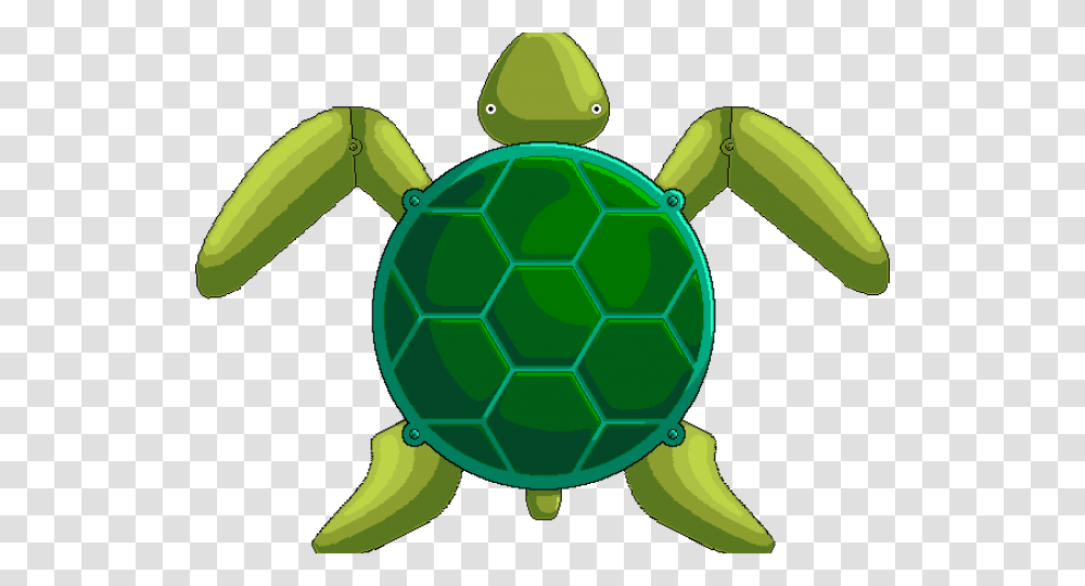 Sea Turtle Clipart Body Turtle Images Cartoon, Soccer Ball, Football, Team Sport, Sports Transparent Png